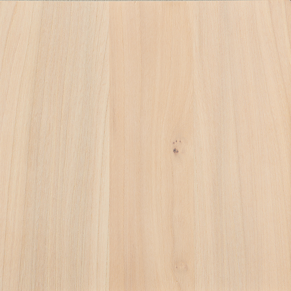 pilat-en-pilat-iepen-licht-beits-lak-no2-web-tmb-600