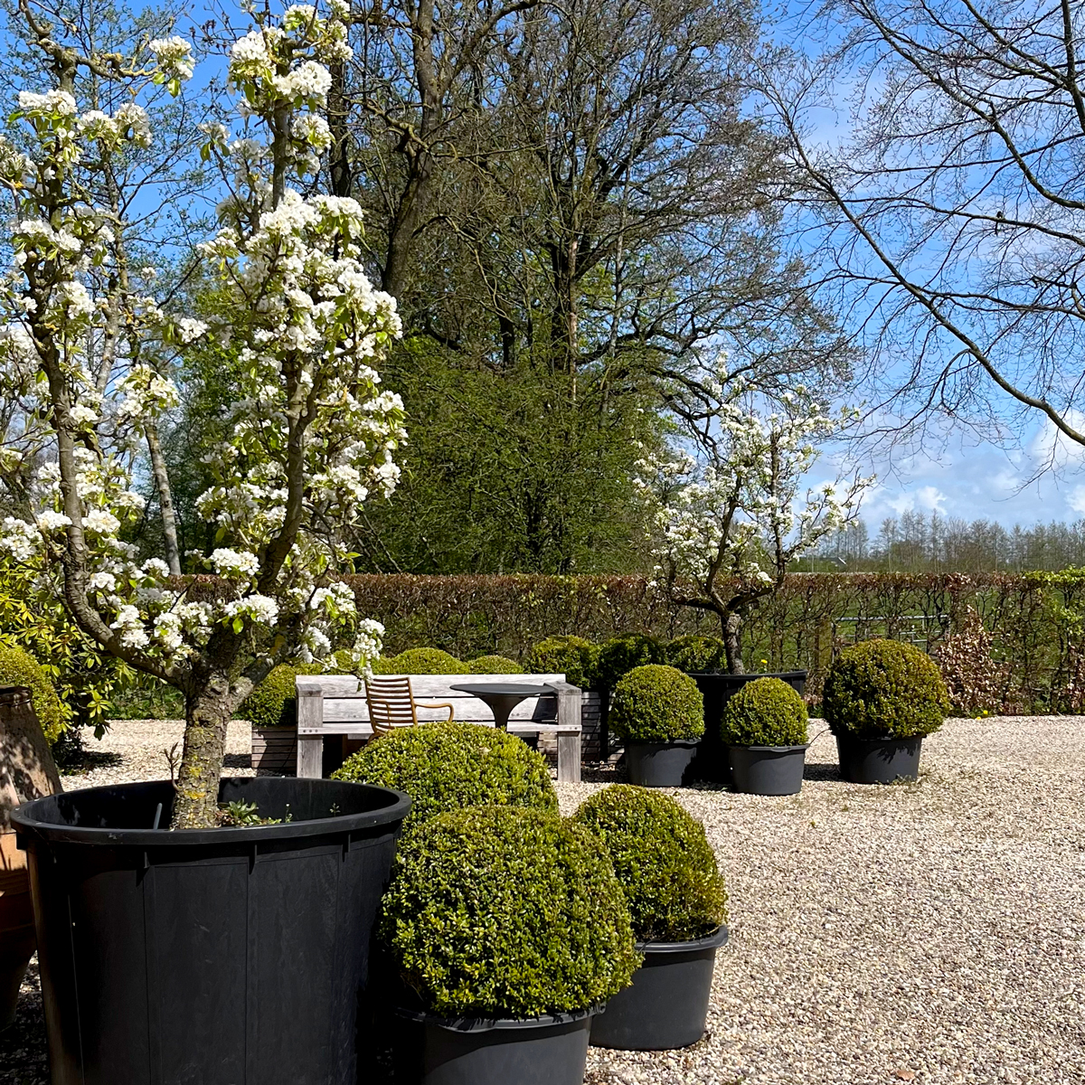 Buiten