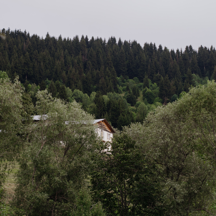 Bosnie_walnoot_blog_03